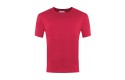 Thumbnail of canterbury-road-pe-t-shirts-in-house-colours_188813.jpg