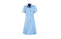Thumbnail of classic-collar-dress--colours_195916.jpg