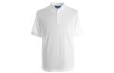 Thumbnail of lower-halstow-white-polo-shirt-with-school-emblem_189904.jpg