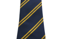 Thumbnail of regis-manor-primary-school-tie_461647.jpg