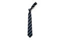 Thumbnail of rodmersham-elastic-tie--years-3--4--5-and-6-only_190410.jpg