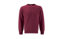 Thumbnail of select-raglan-sweatshirt-adult-sizes_300622.jpg