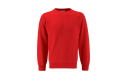 Thumbnail of select-raglan-sweatshirt-adult-sizes_300625.jpg