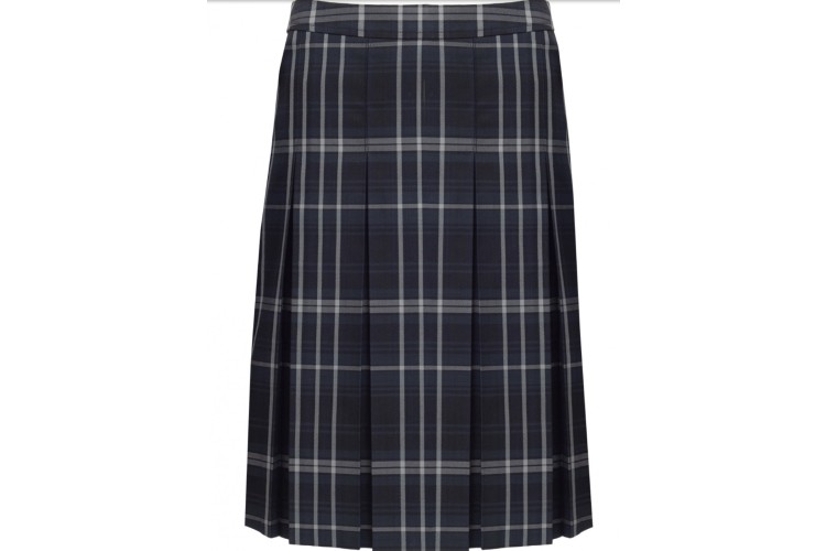 Abbey Navy Tonal Skirt  Junior Sizes 