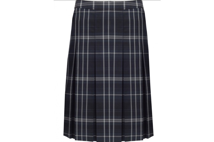 Abbey Navy Tonal Skirt  Junior Sizes (Year 7, 8 & 9) 