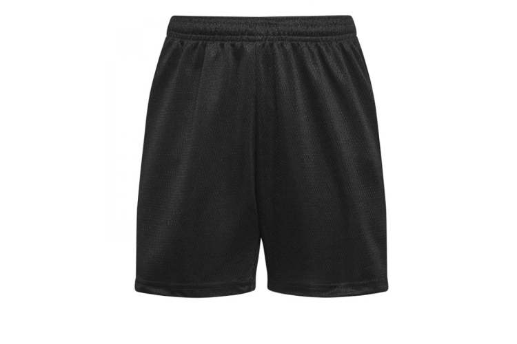 Black Mesh Sports Shorts