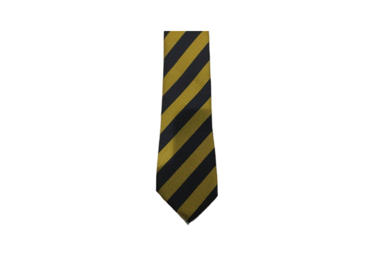 Borden Lower School Tie (Years 7 to 9)
