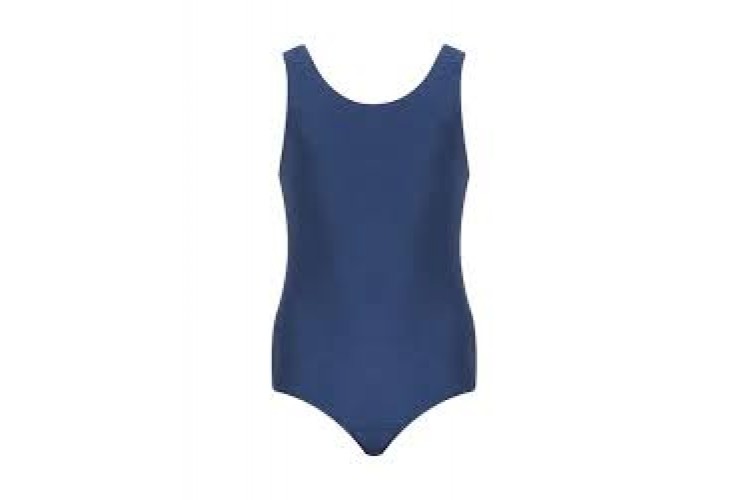 Freestyle Swimsuit in Royal Blue