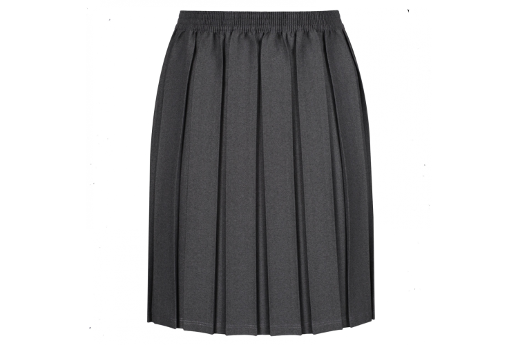 Girl's Grey Pleated Skirt