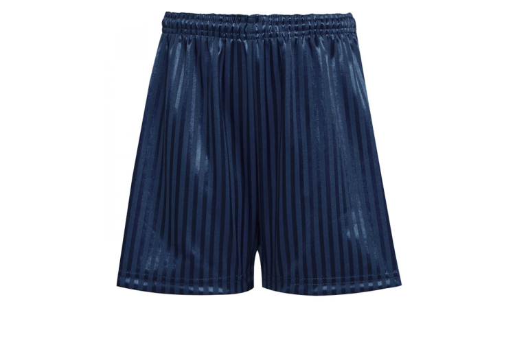 Navy P.E. Shorts