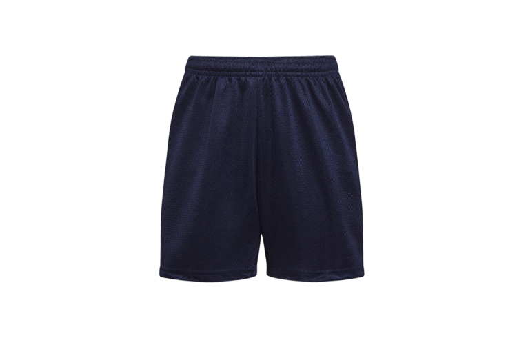 NAVY SHORTS