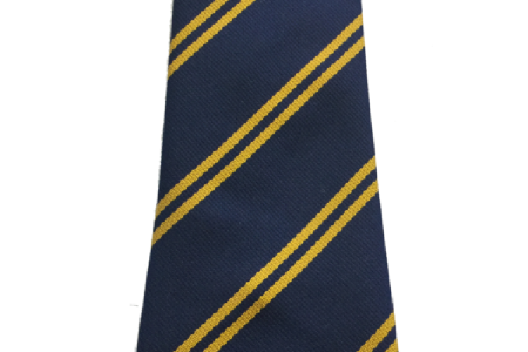 Regis Manor Primary School Tie