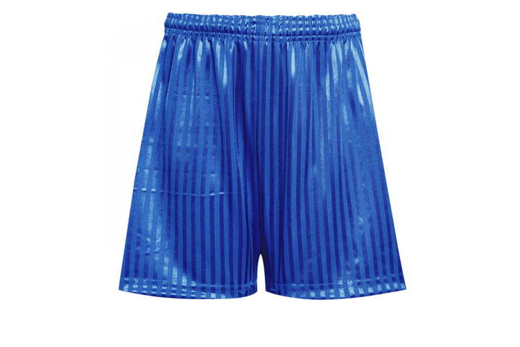 Royal Blue PE Shadow-Stripe Shorts