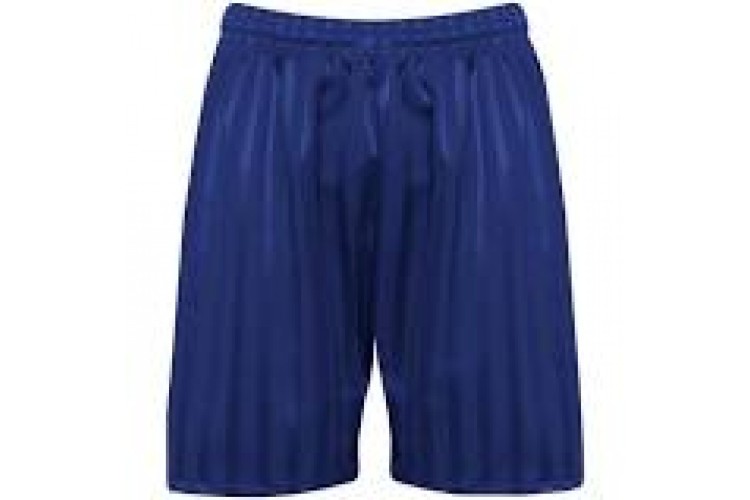 Royal Blue Shorts