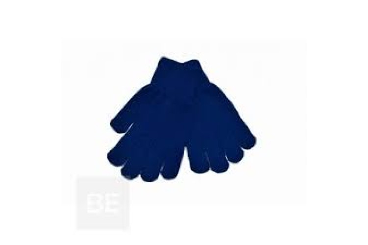 Royal Blue Winter Gloves