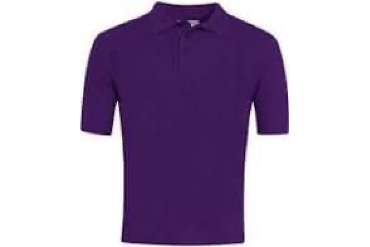 Social Care Polo Shirt with Logo